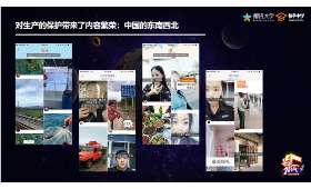 零成本创业，开启无本创业之路的判断与策略